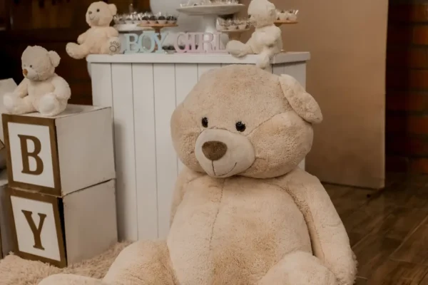 ديكور استقبال مولود مع دبدوب